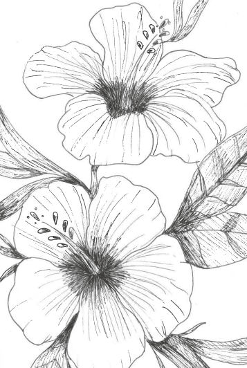 fleurs